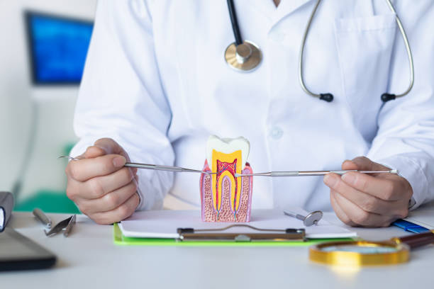 Best Emergency Treatment for Toothache in Poulsbo, WA